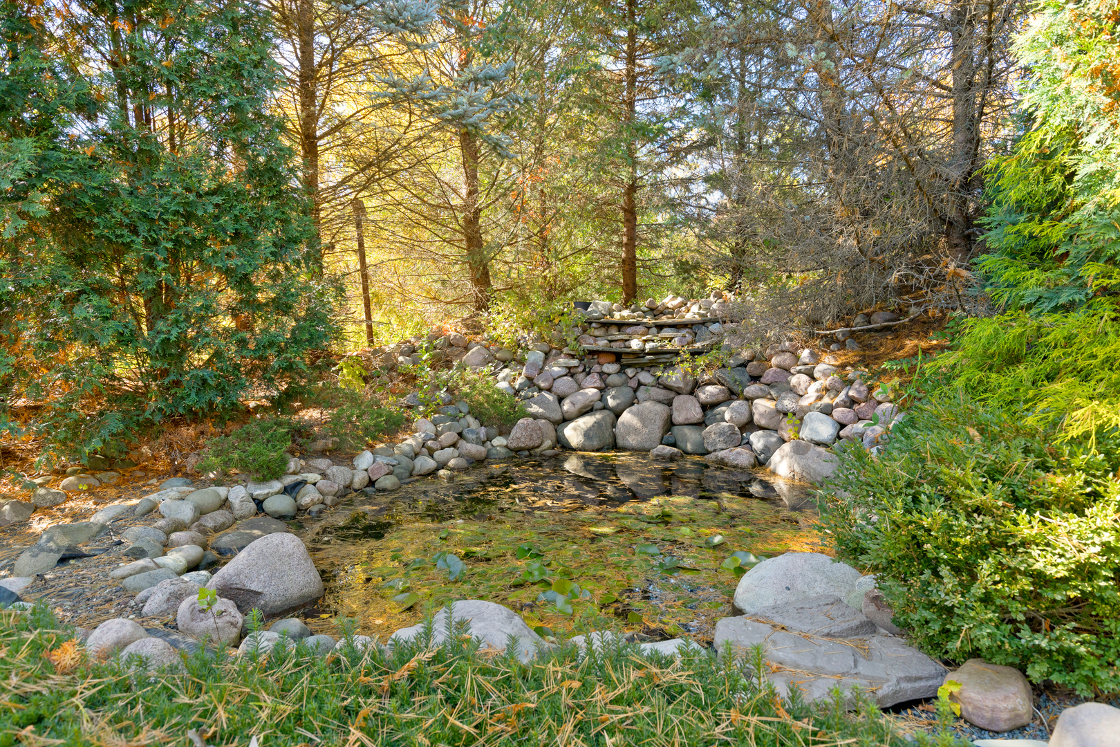 4469 Kettering Drive Long Grove, IL 60047 - Photo 42 of 45 a picture of trees