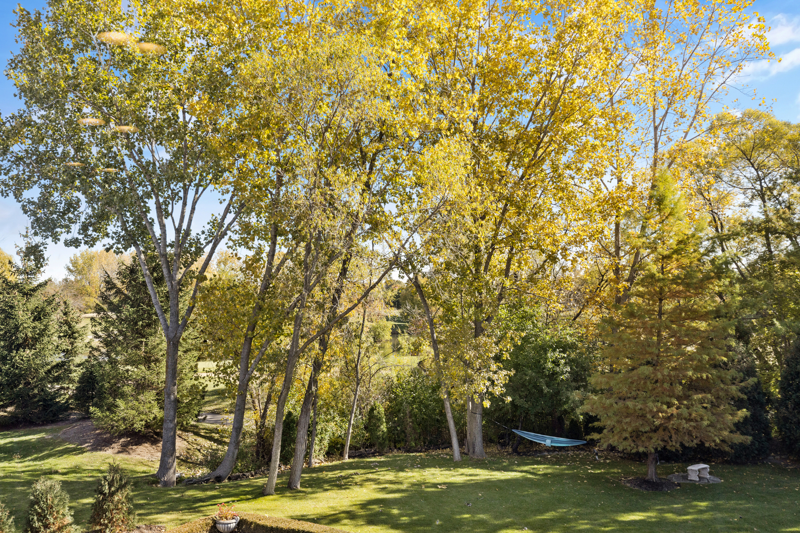4469 Kettering Drive Long Grove, IL 60047 - Photo 45 of 45 a view of a trees with a big yard