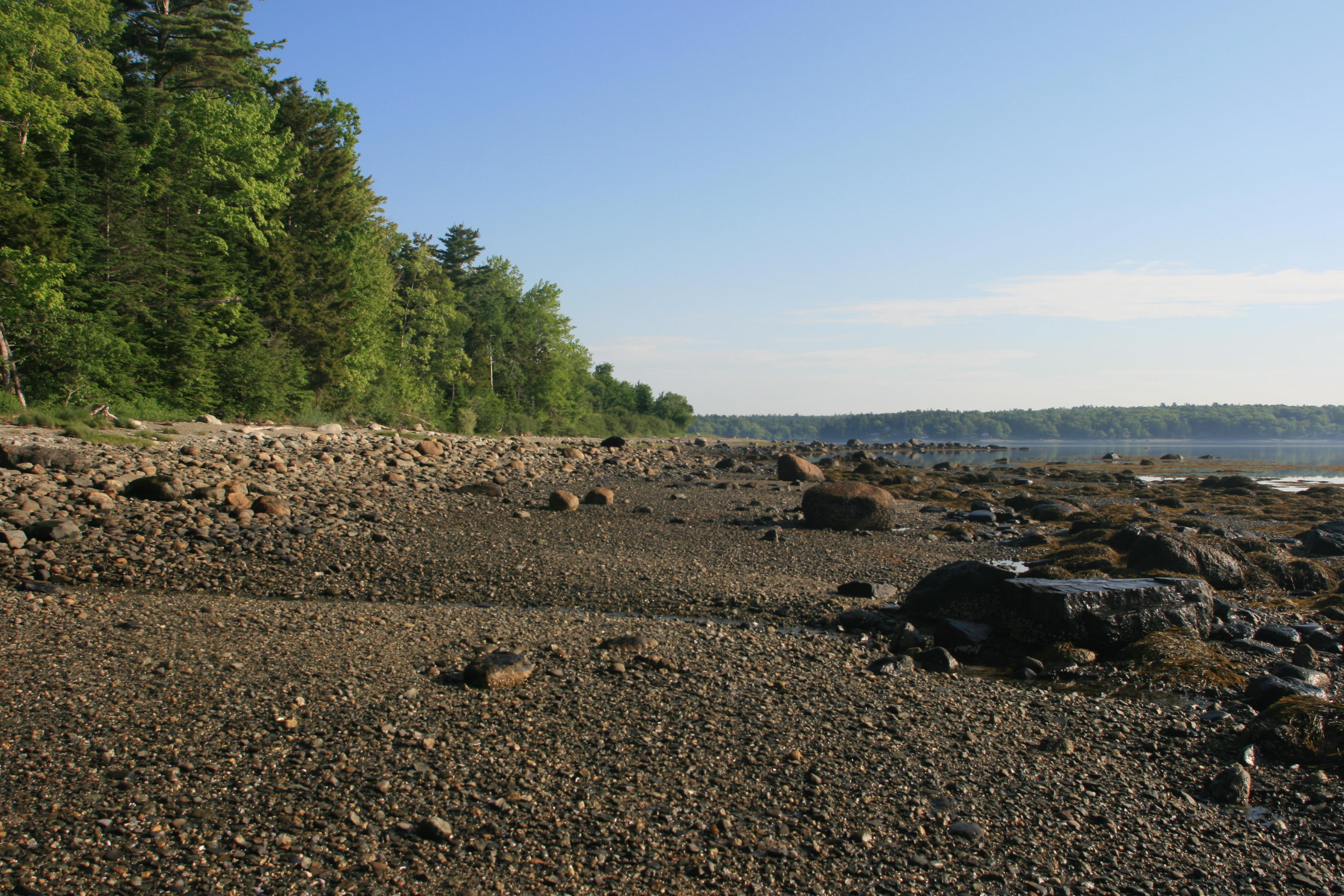 Lot M Carter Farm Road Surry, ME 04684 - Photo 5 of 8 666