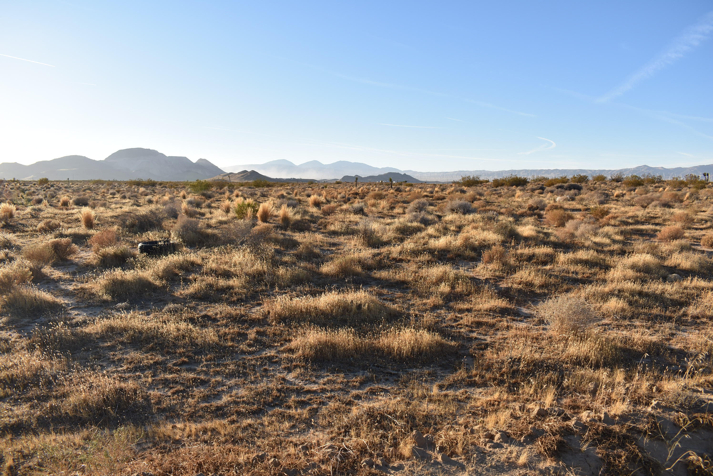 15th Street East Mojave, CA 93501 - Photo 3 of 15 DSC_0912