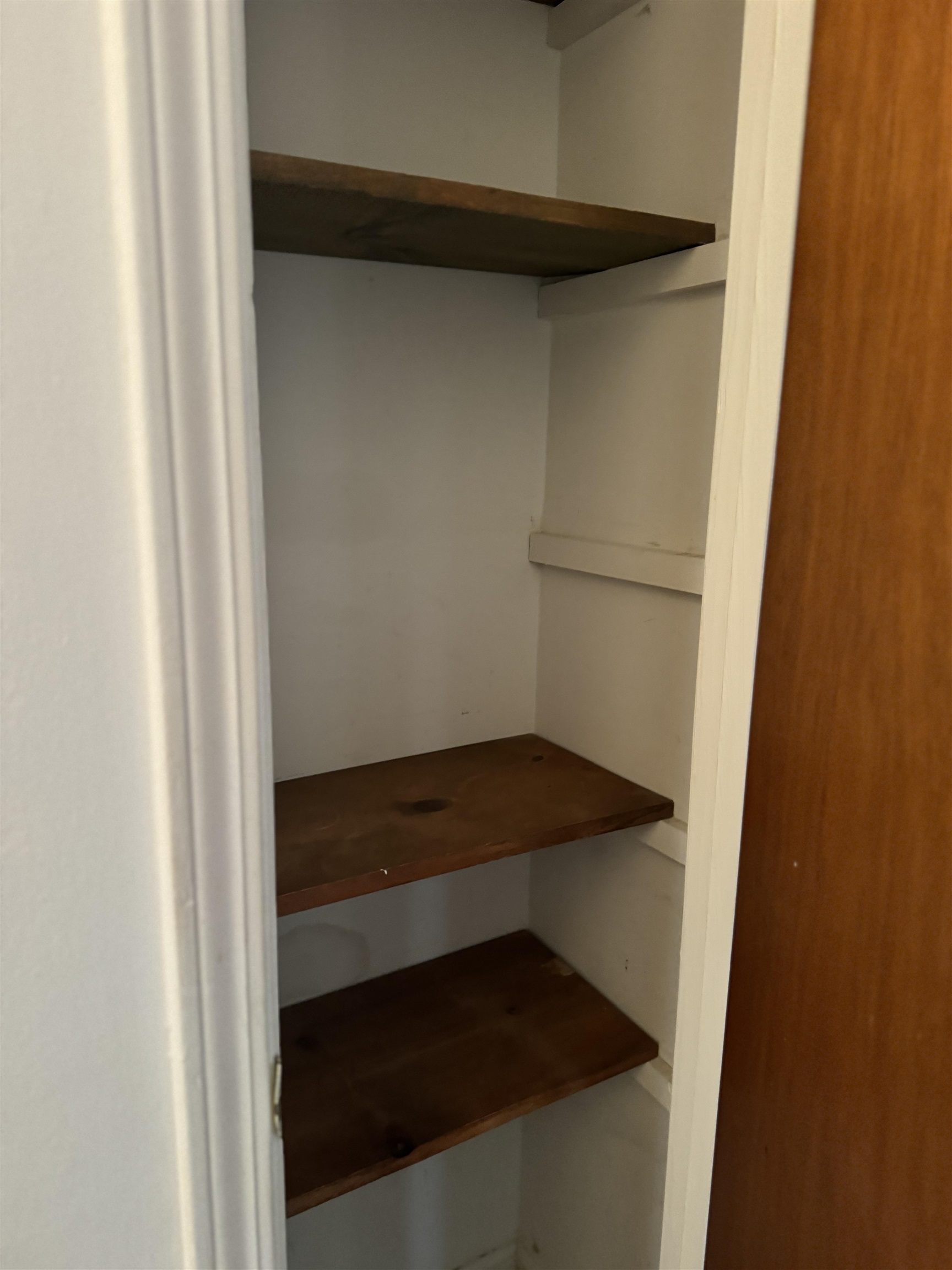 3289 Graves Road Memphis, TN 38116 - Photo 9 of 23 a close view of walk in closet