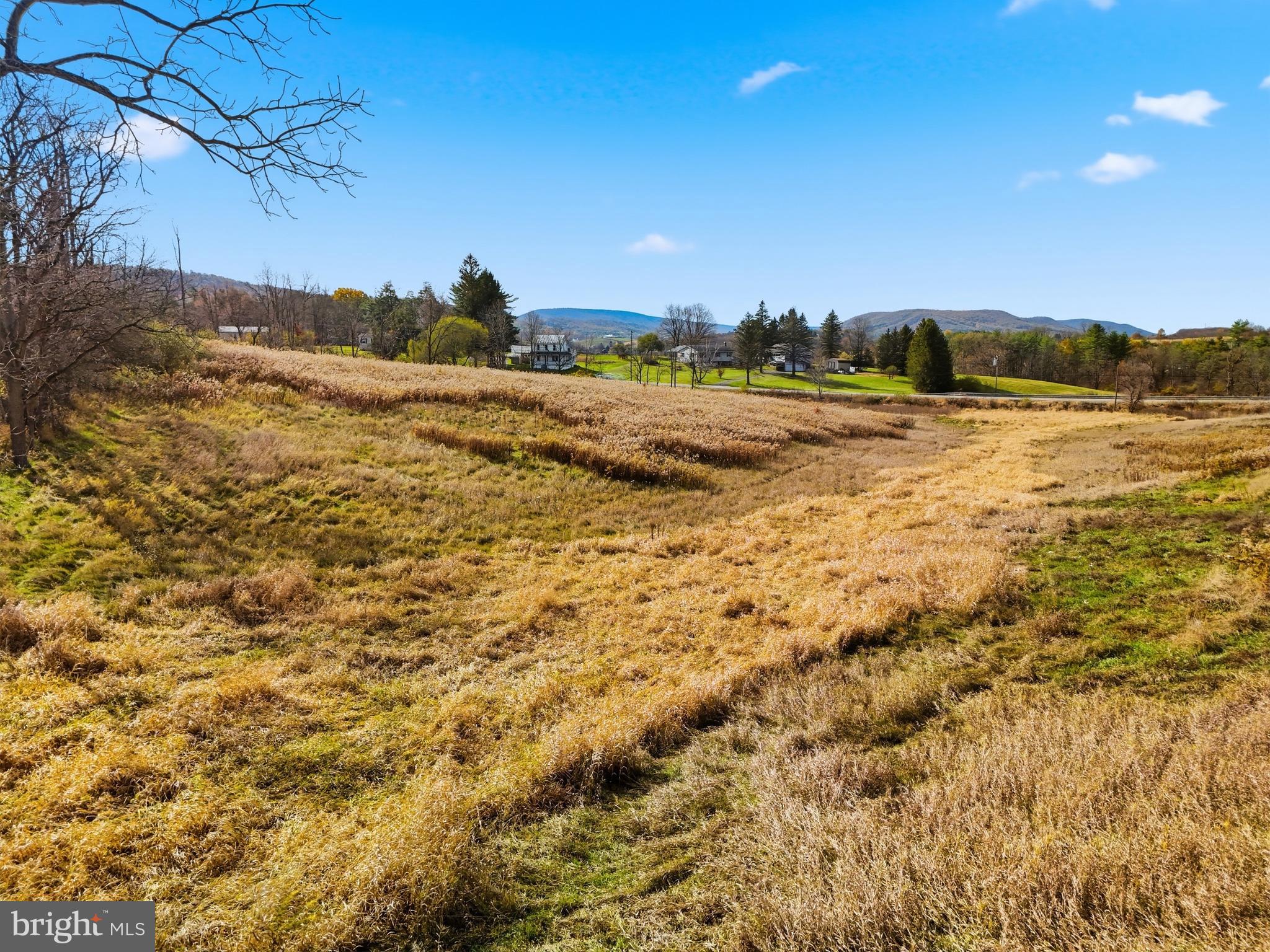 Lot On Bible Road Spring Mills, PA 16875 - Photo 21 of 21 Gallery Image 21
