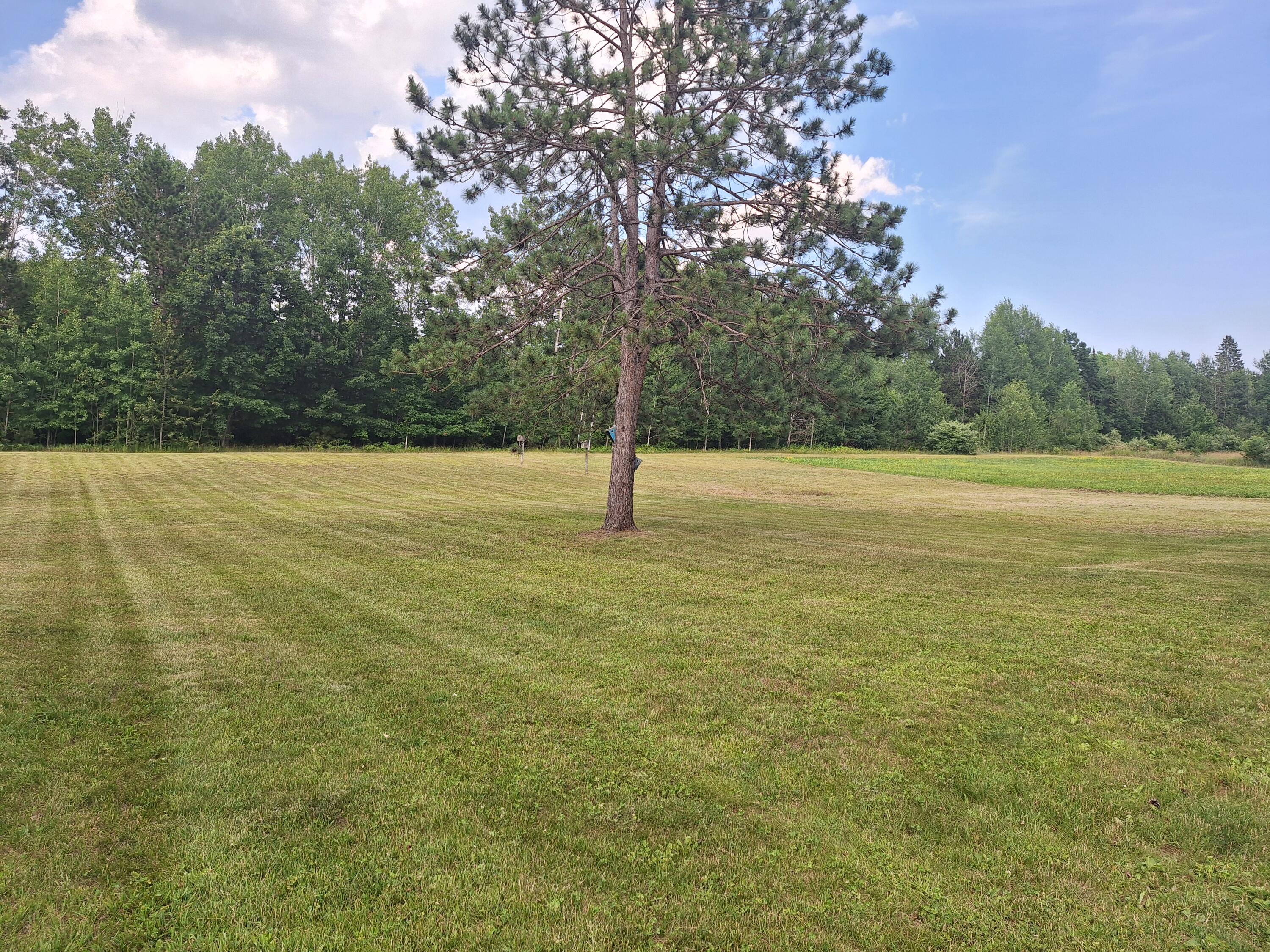 13631 Tolan Road Ossineke, MI 49766 - Photo 23 of 28 20250714_182958