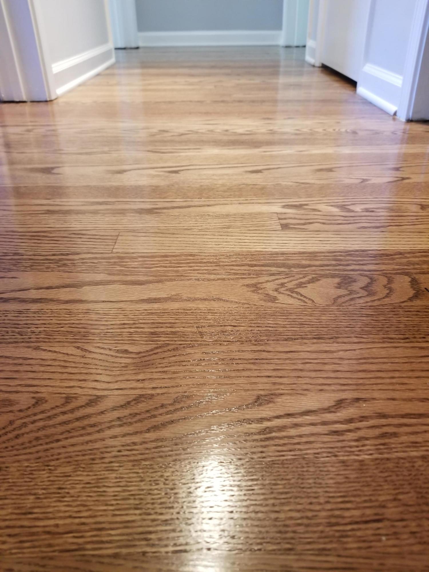 256 Dumfries Road Bristol, TN 37620 - Photo 11 of 22 Hardwoods Dumfries