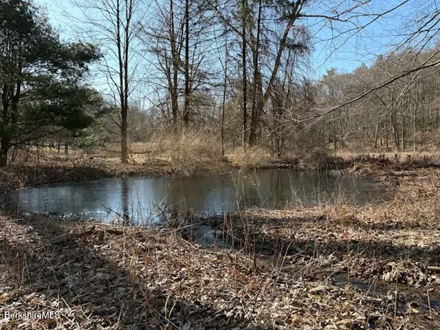 67 Blunt Road Egremont, MA 01230 - Photo 7 of 11 tempImaged2dxbK