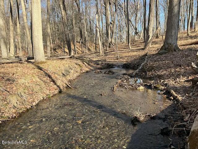 67 Blunt Road Egremont, MA 01230 - Photo 8 of 11 tempImage5neXLG