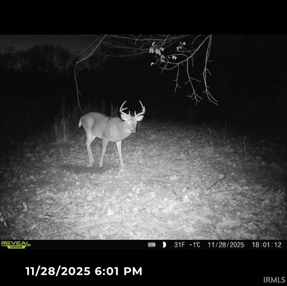 1 Beech Tree Road Nineveh, IN 46164 - Photo 5 of 15