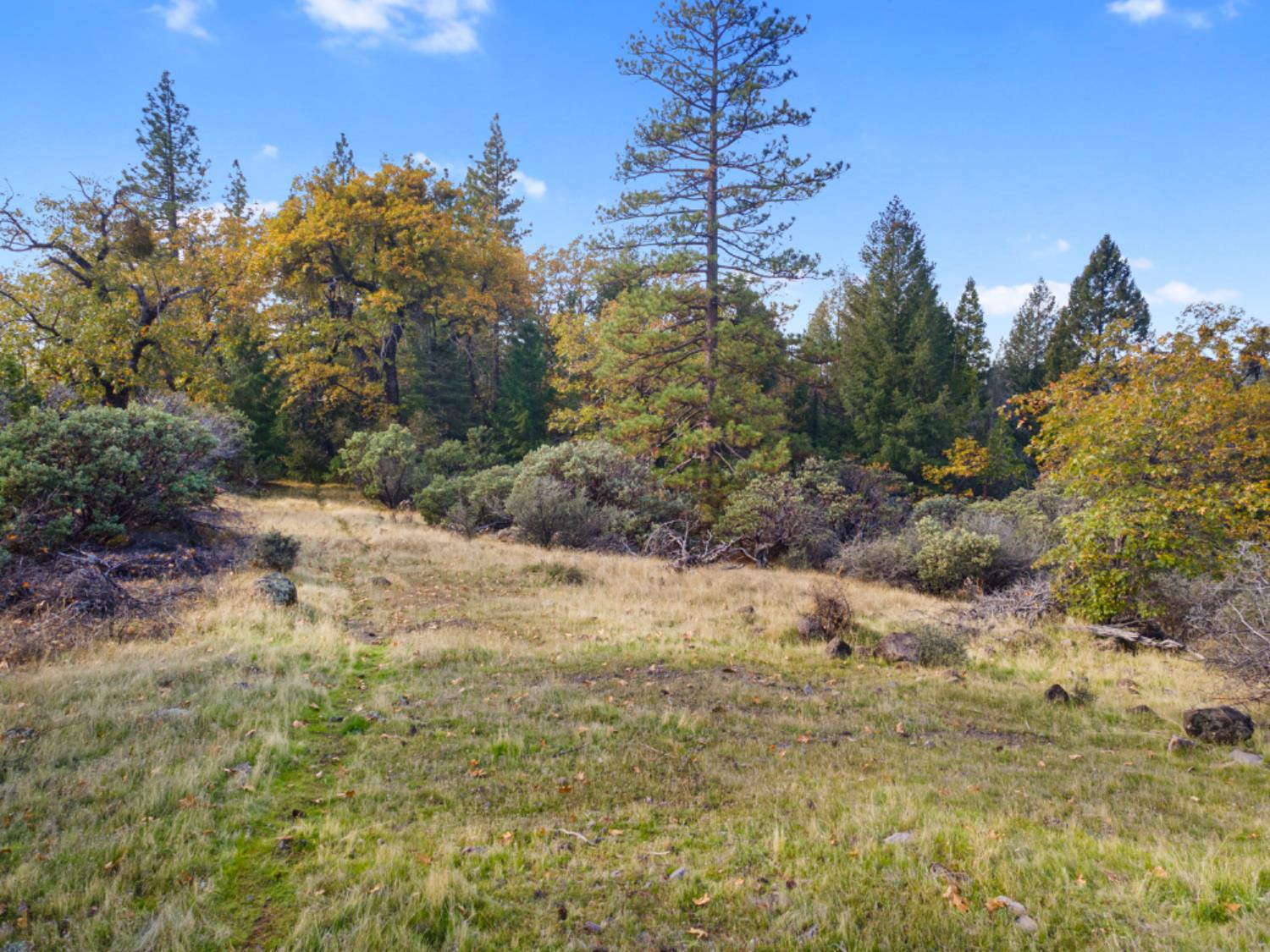0 Starkes Grade Road Pollock Pines, CA 95726 - Photo 10 of 23
