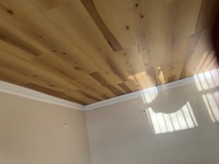 510 Shadywood Lane Elk Grove Village, IL 60007 - Photo 11 of 23