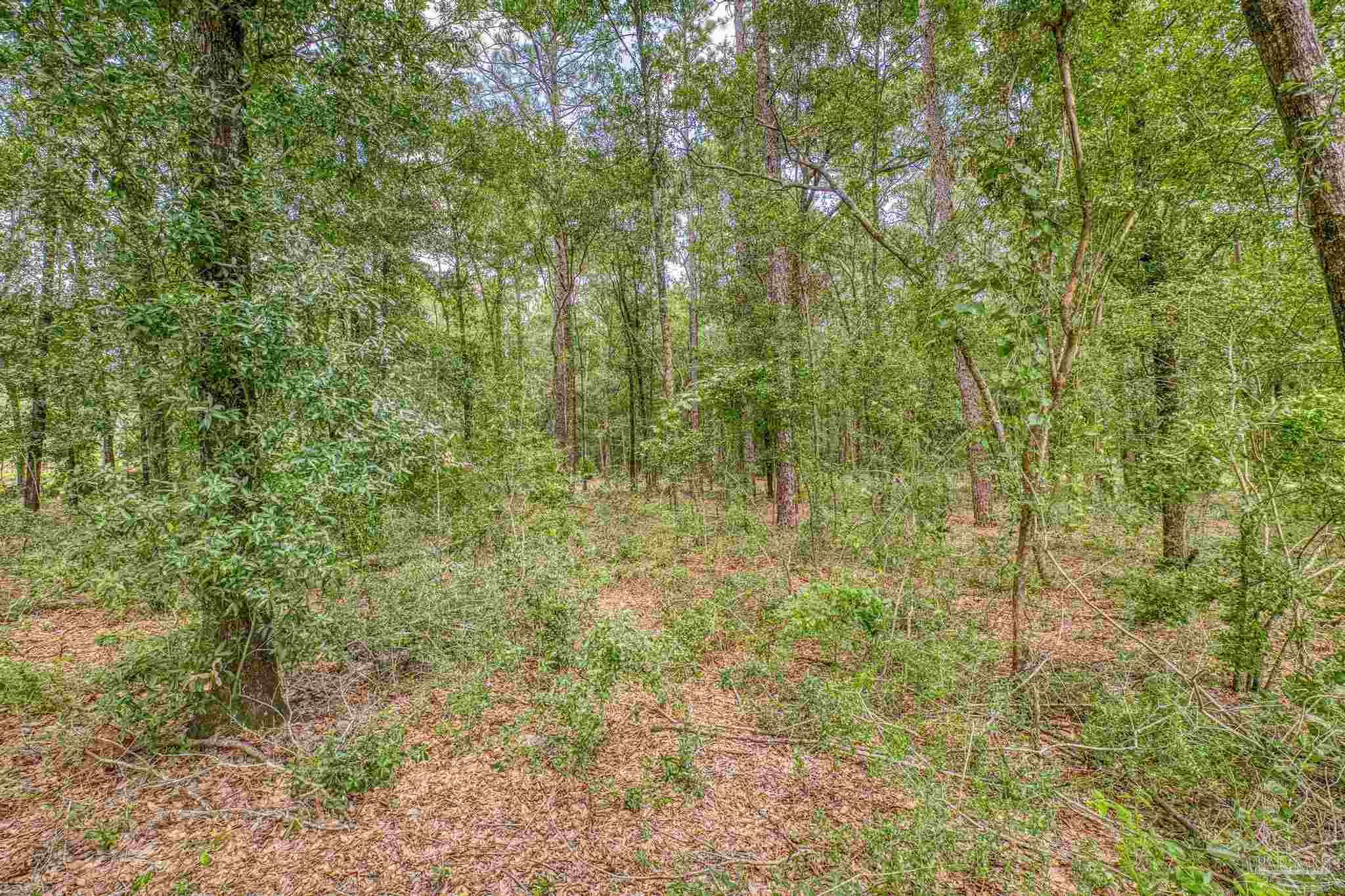 6070 Cherokee Drive Milton, FL 32570 - Photo 46 of 49