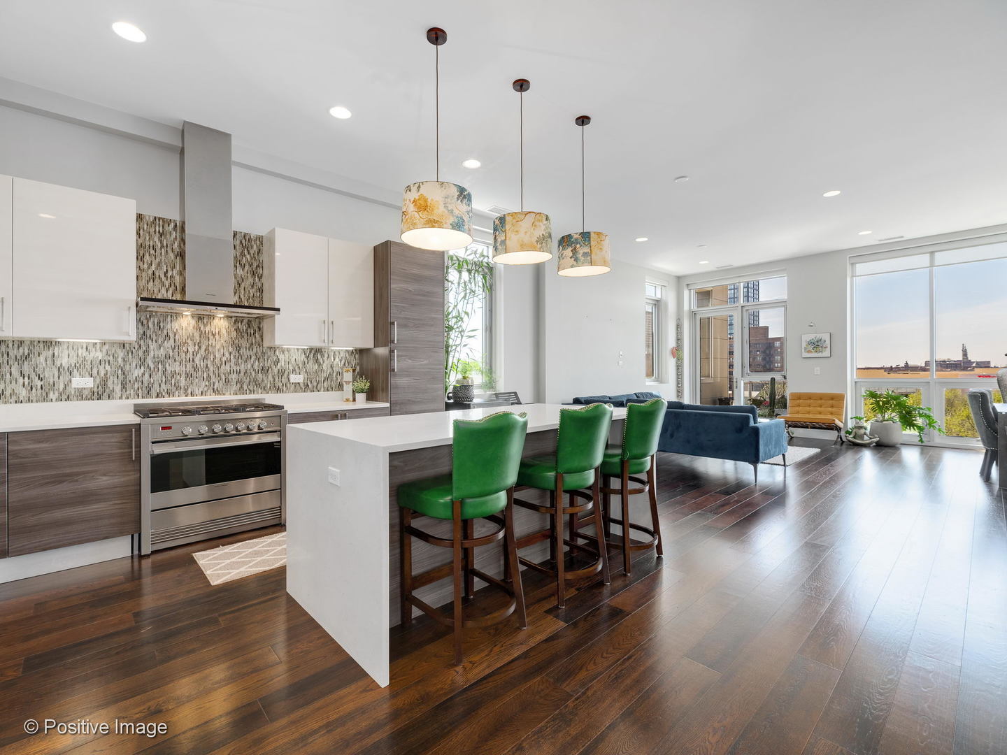 1116 West Adams Street, Unit 5E Chicago, IL 60607 - Photo 4 of 24