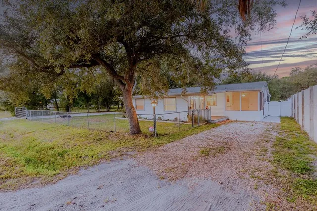 a view of a backyard with plants and a large tree