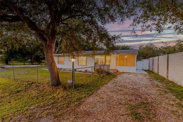 a view of a backyard with plants and a tree
