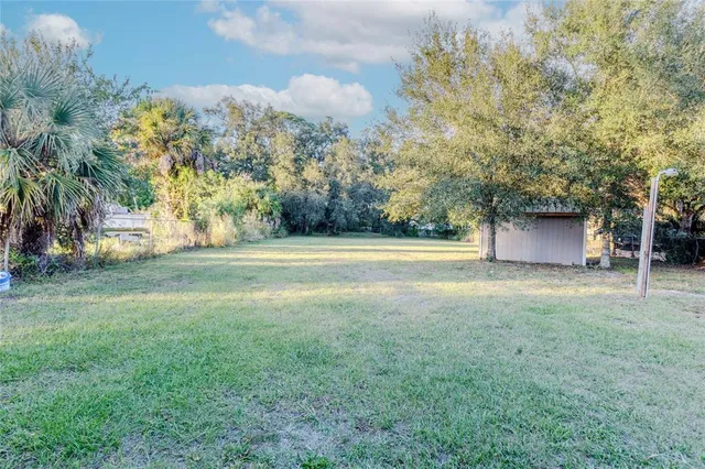 a view of a field with a tree