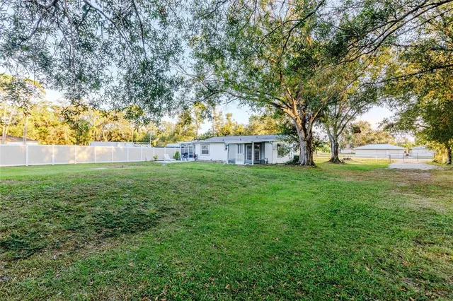 a view of yard with tree and green space