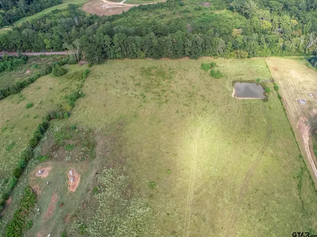 a view of a lush green forest with houses and a lake view