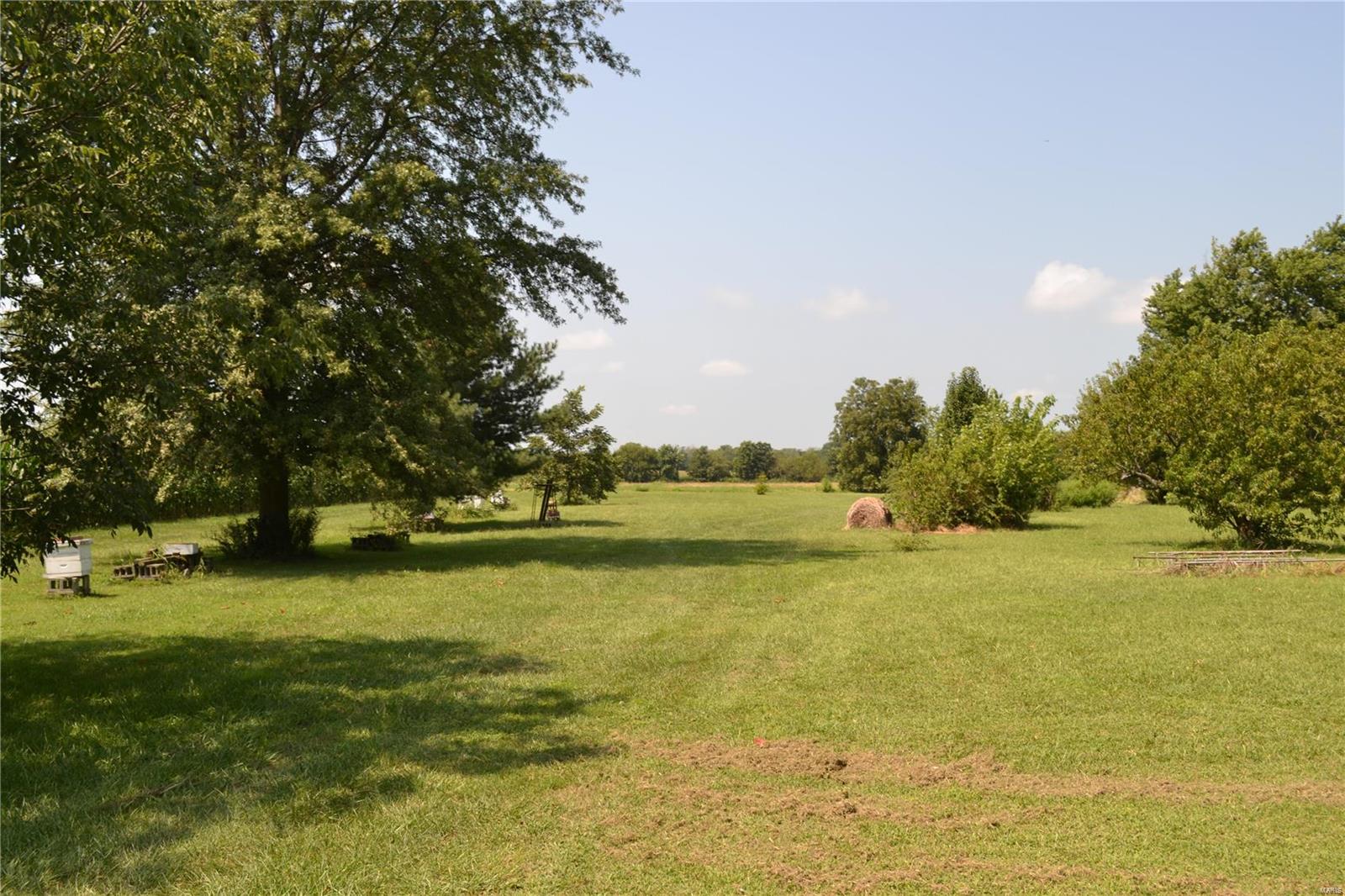 295 North Main Street Hoyleton, IL 62803 - Photo 5 of 6