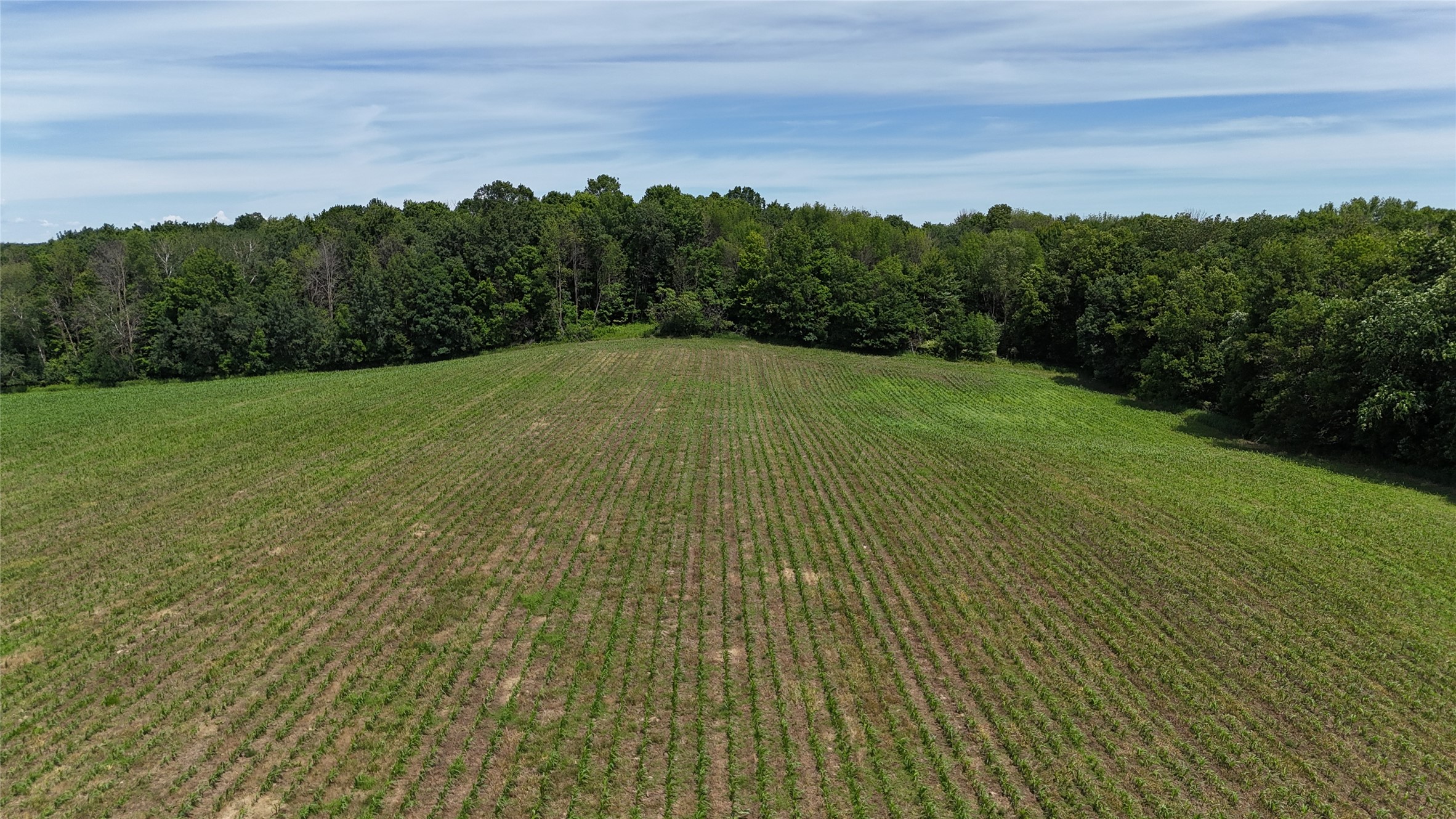 Tbd 230th Street Baldwin, WI 54002 - Photo 49 of 53