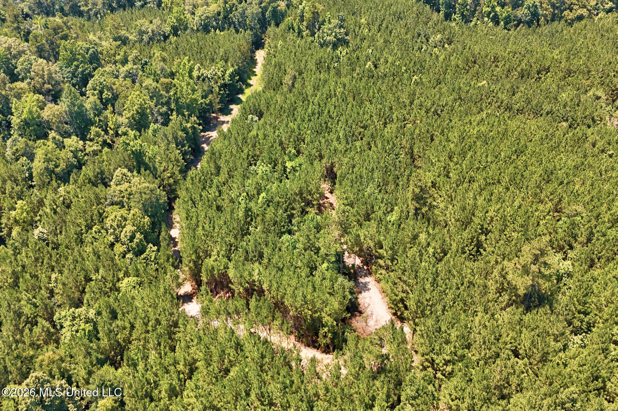 Northwest Ben Briggs Road Northwest Roxie, MS 39661 - Photo 9 of 17 DJI_20260610115819_0052_D_3_D_4_D-2