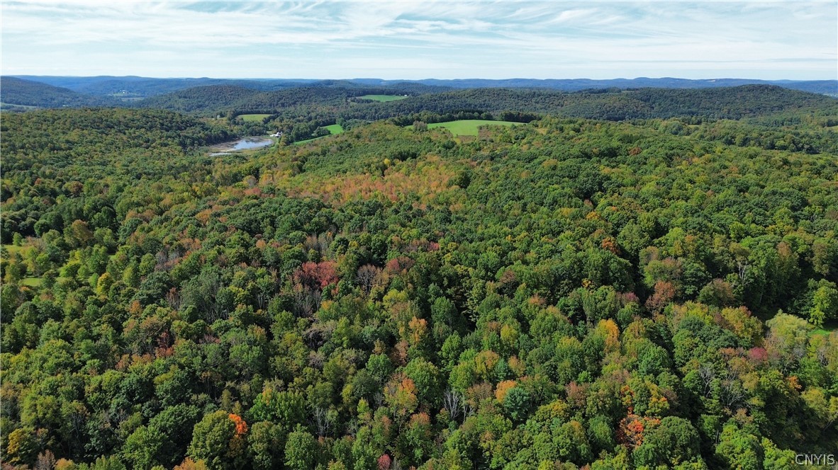 Lot 21 Buddle Road Richfield Springs, NY 13439 - Photo 14 of 21 Gallery Image 14