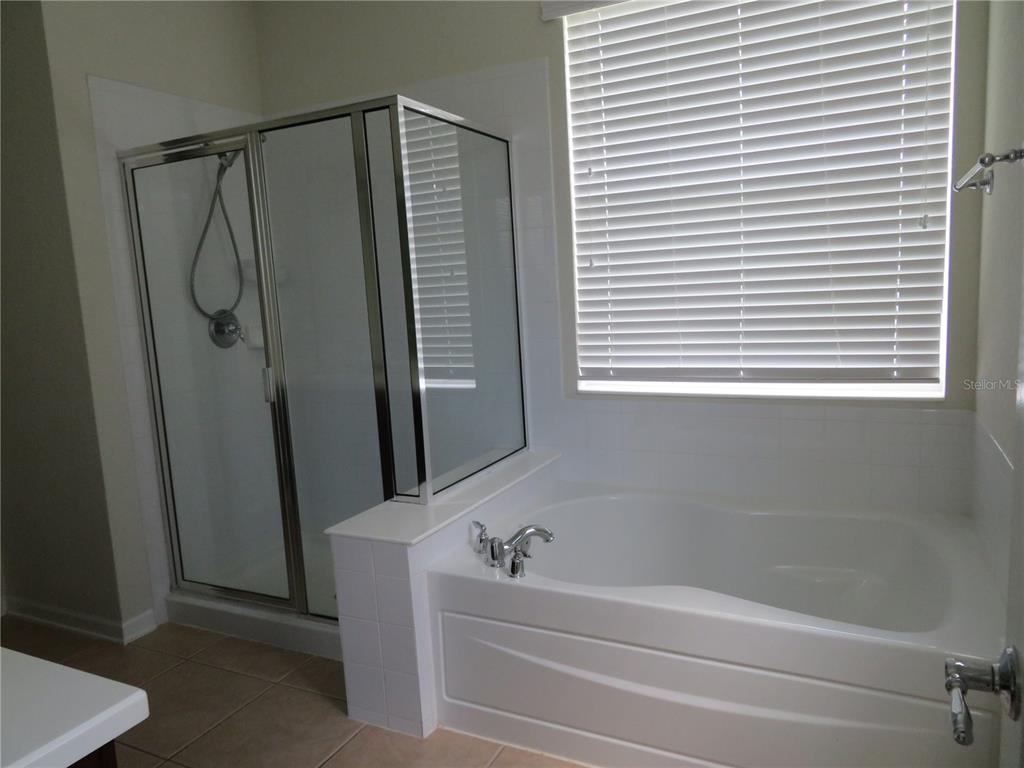 13253 Vennetta Way Windermere, FL 34786 - Photo 14 of 19