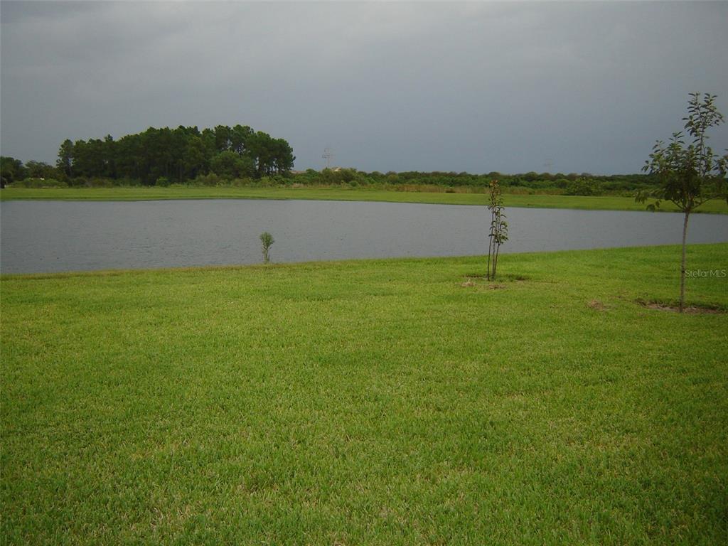 13253 Vennetta Way Windermere, FL 34786 - Photo 5 of 19