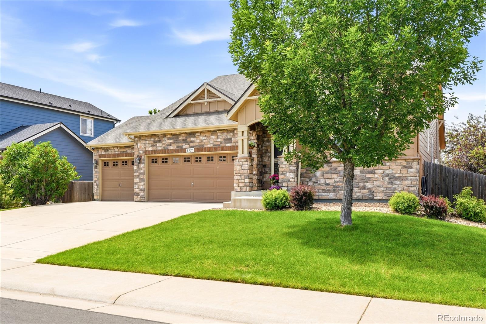 8325 Raspberry Drive Frederick, CO 80504 - Photo 29 of 44