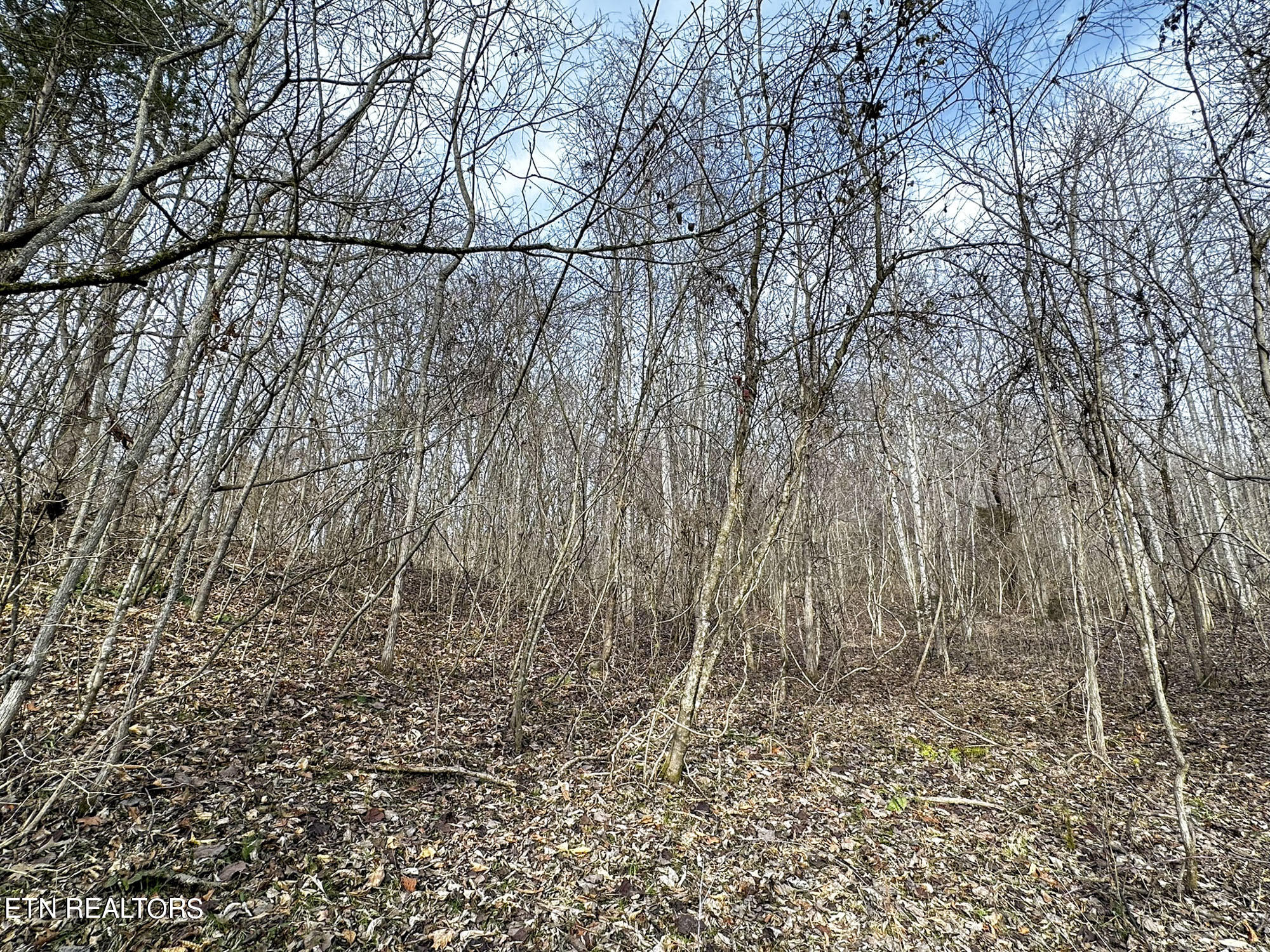Pinto Ridge New Market, TN 37820 - Photo 18 of 27 IMG_4820-c