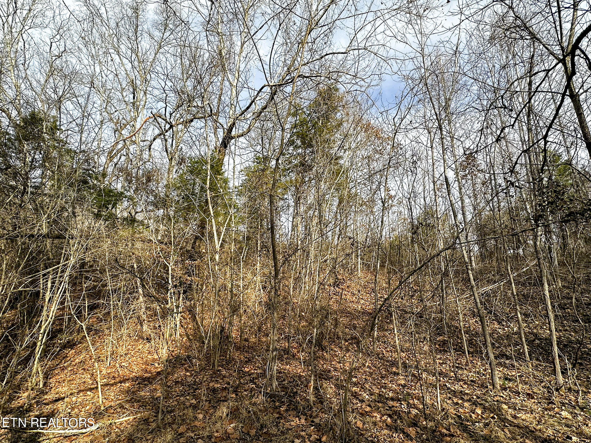 Pinto Ridge New Market, TN 37820 - Photo 26 of 27 IMG_4828-c