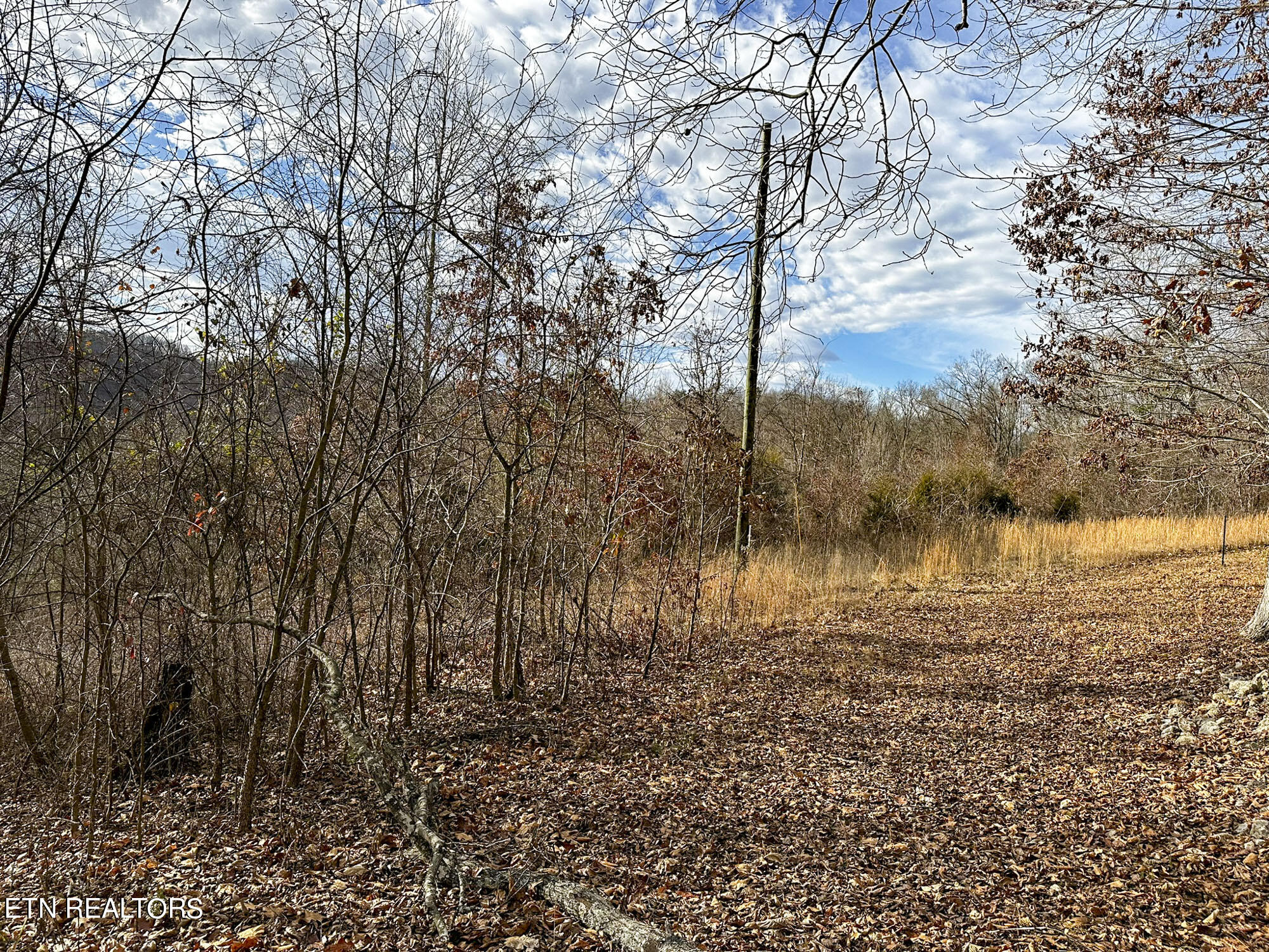 Pinto Ridge New Market, TN 37820 - Photo 3 of 27 IMG_4805-c