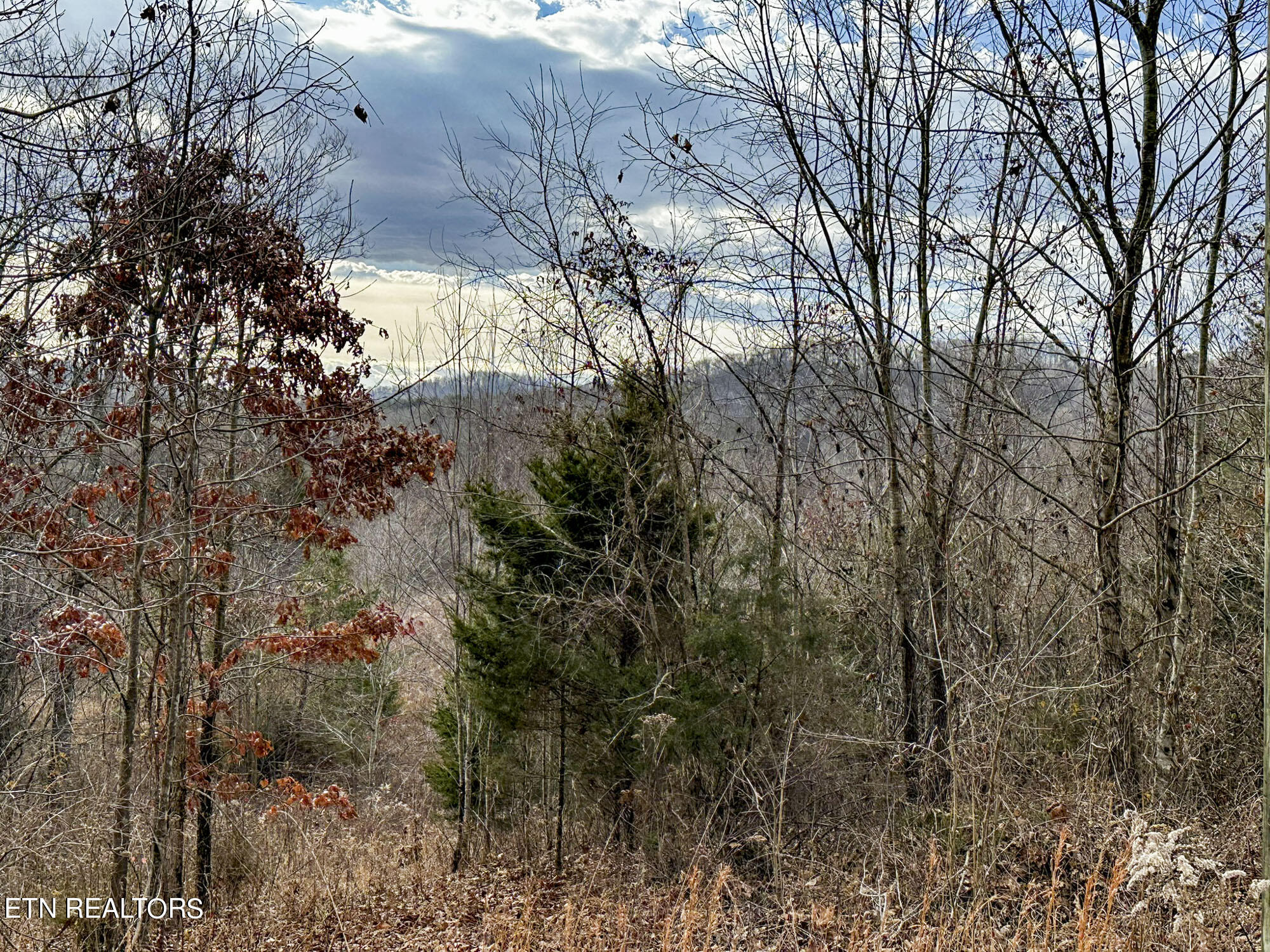 Pinto Ridge New Market, TN 37820 - Photo 5 of 27 IMG_4807-c