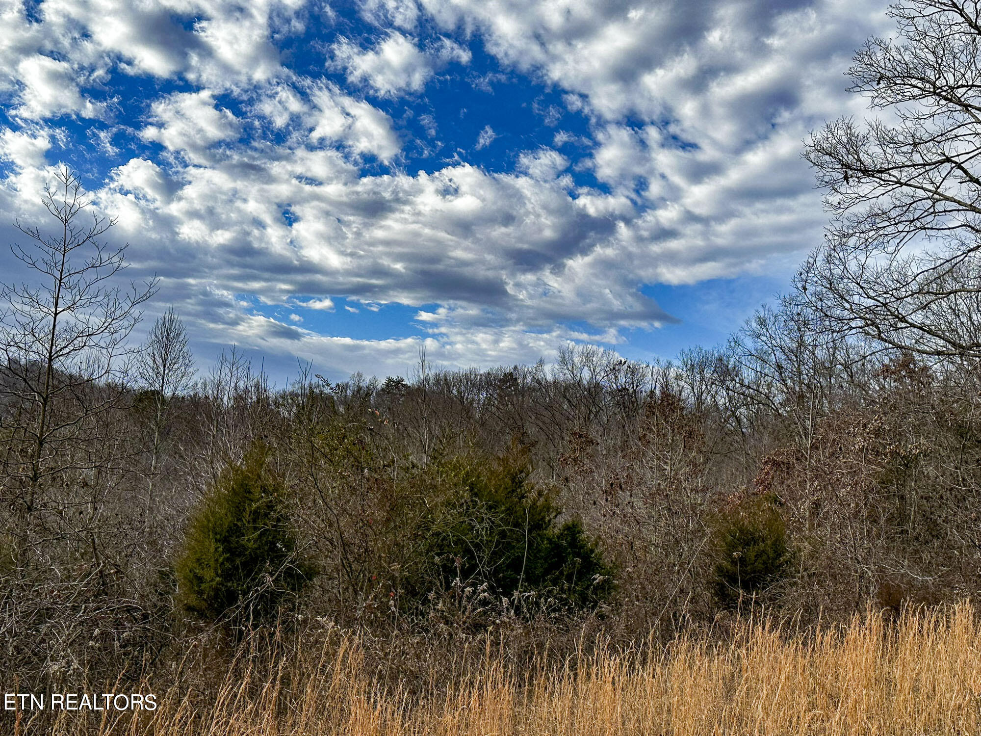 Pinto Ridge New Market, TN 37820 - Photo 6 of 27 IMG_4808-c