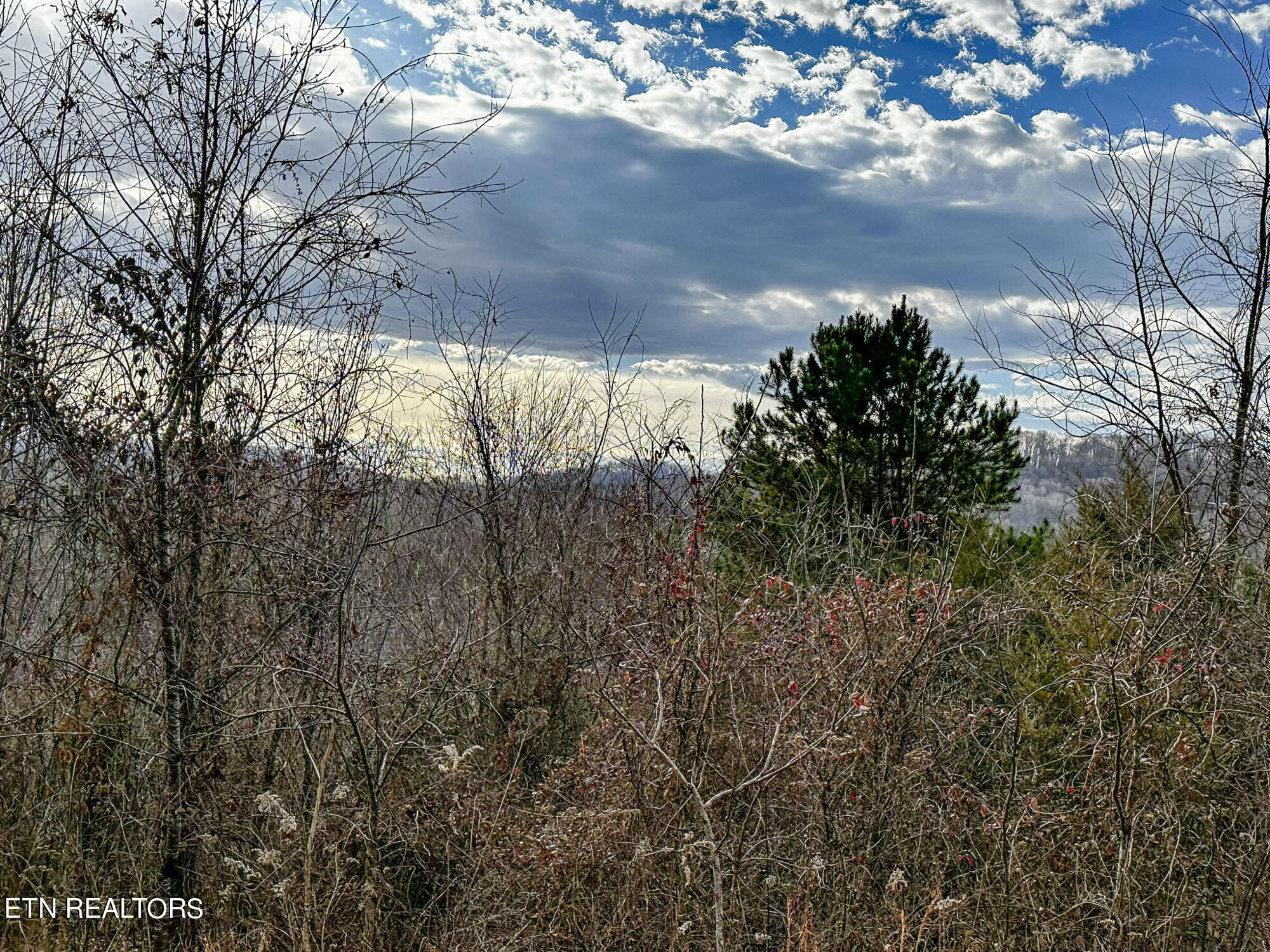 Pinto Ridge New Market, TN 37820 - Photo 8 of 27 IMG_4810-c