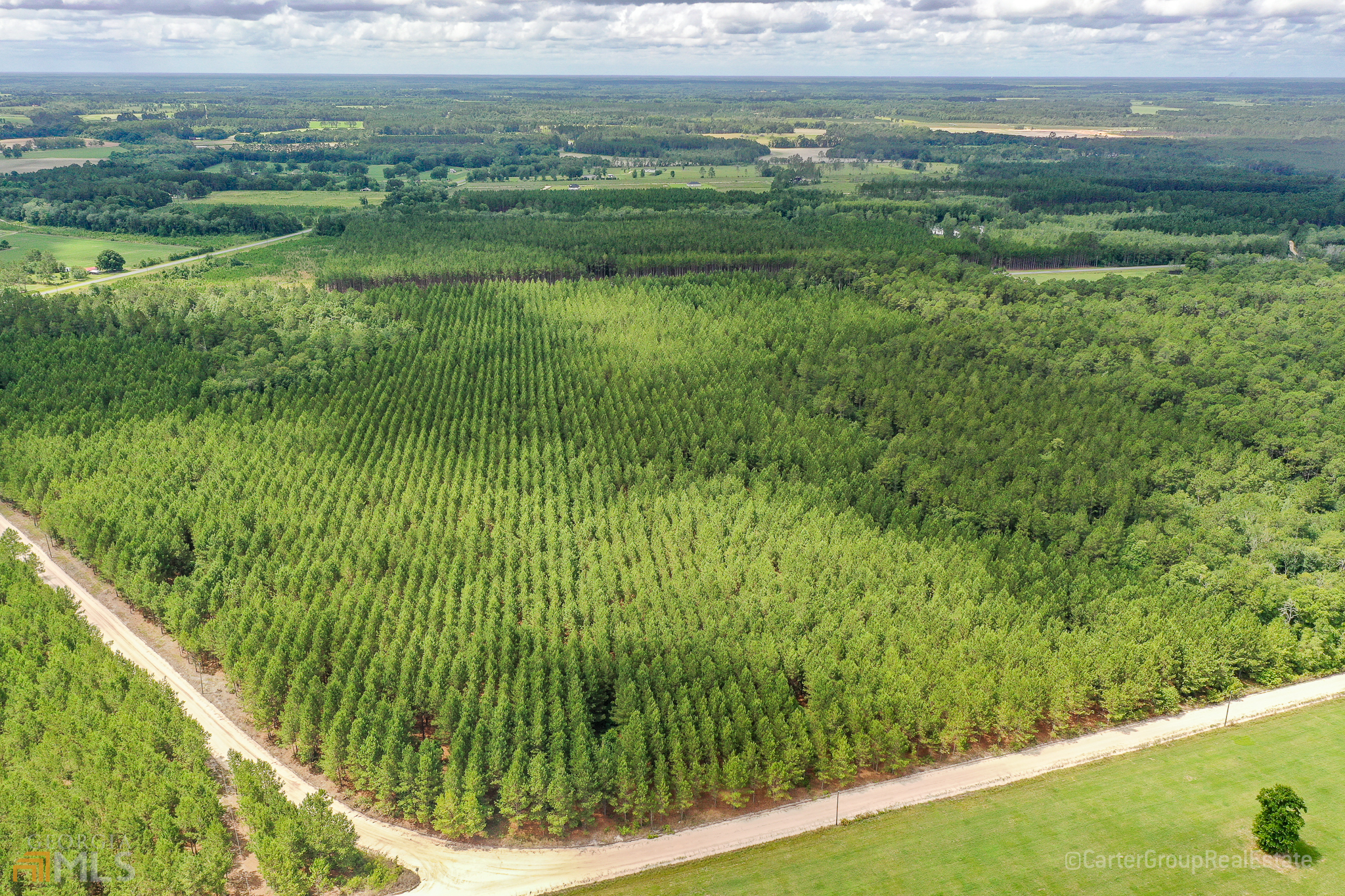 0 Pretty Ford Road Baxley, GA 31513 - Photo 1 of 1 a view of a green field with lots of green space
