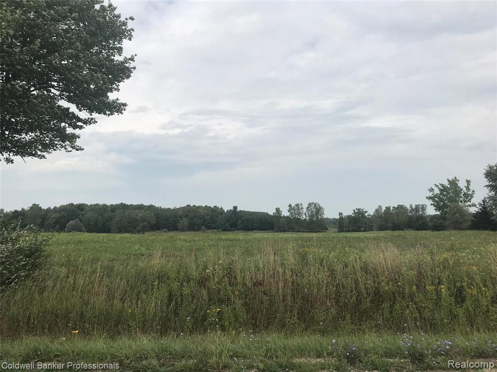 Parcel B Galbraith Line Road Melvin, MI 48454 - Photo 1 of 5