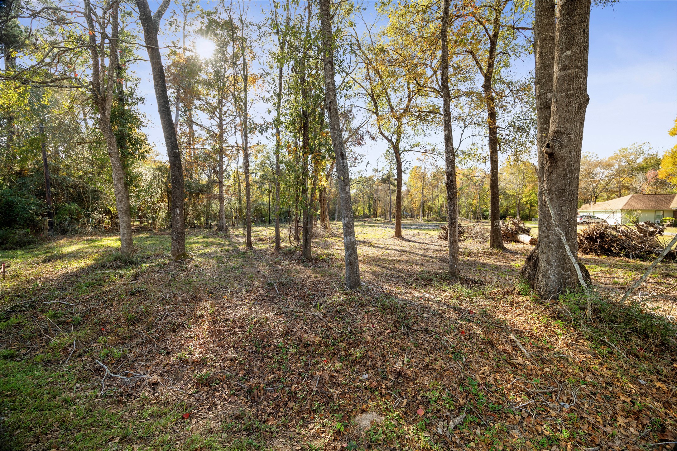 1697 O' Daniel Conroe, TX 77301 - Photo 3 of 8 a view of yard with trees