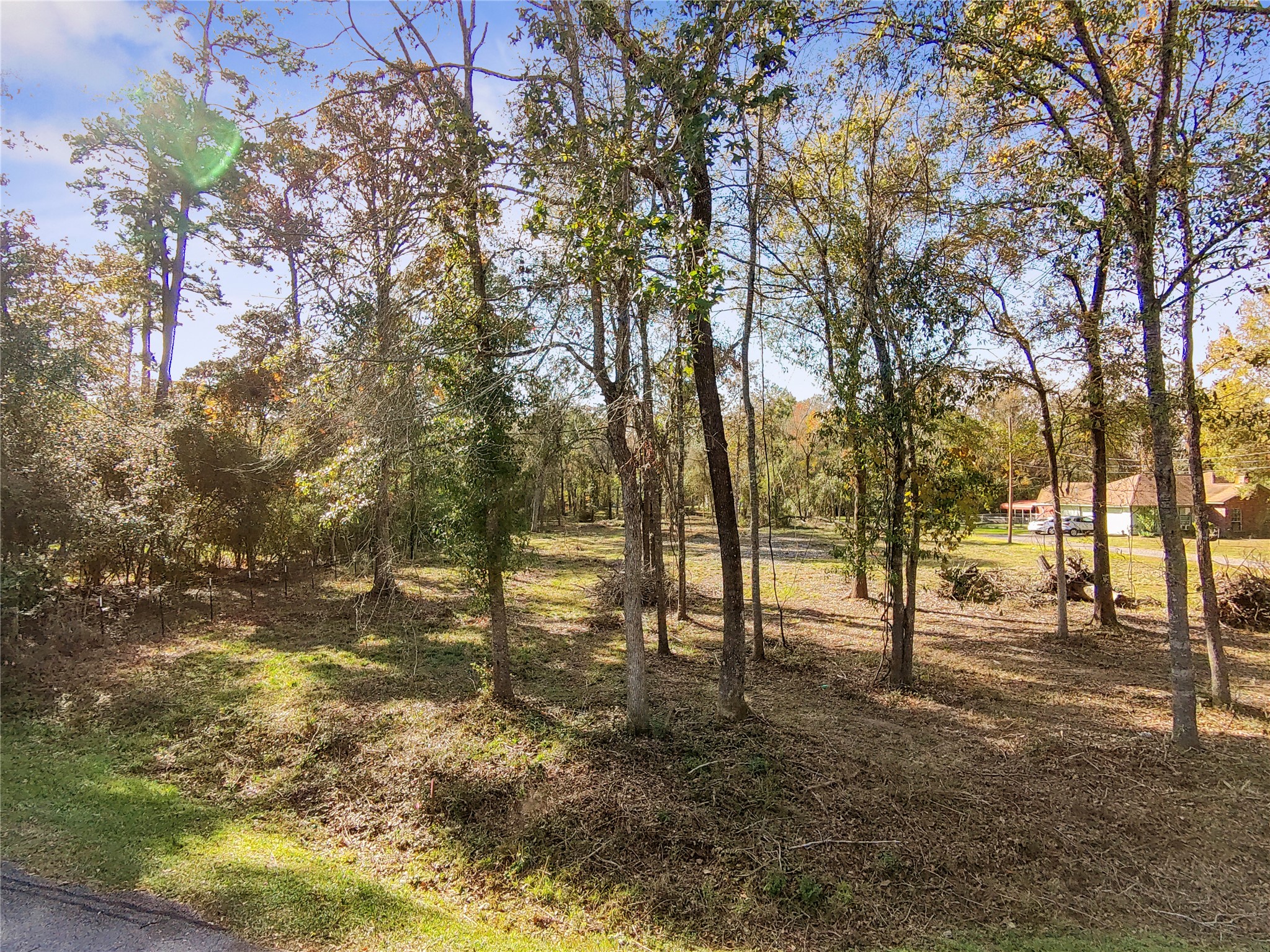 1697 O' Daniel Conroe, TX 77301 - Photo 5 of 8 a view of empty space with trees