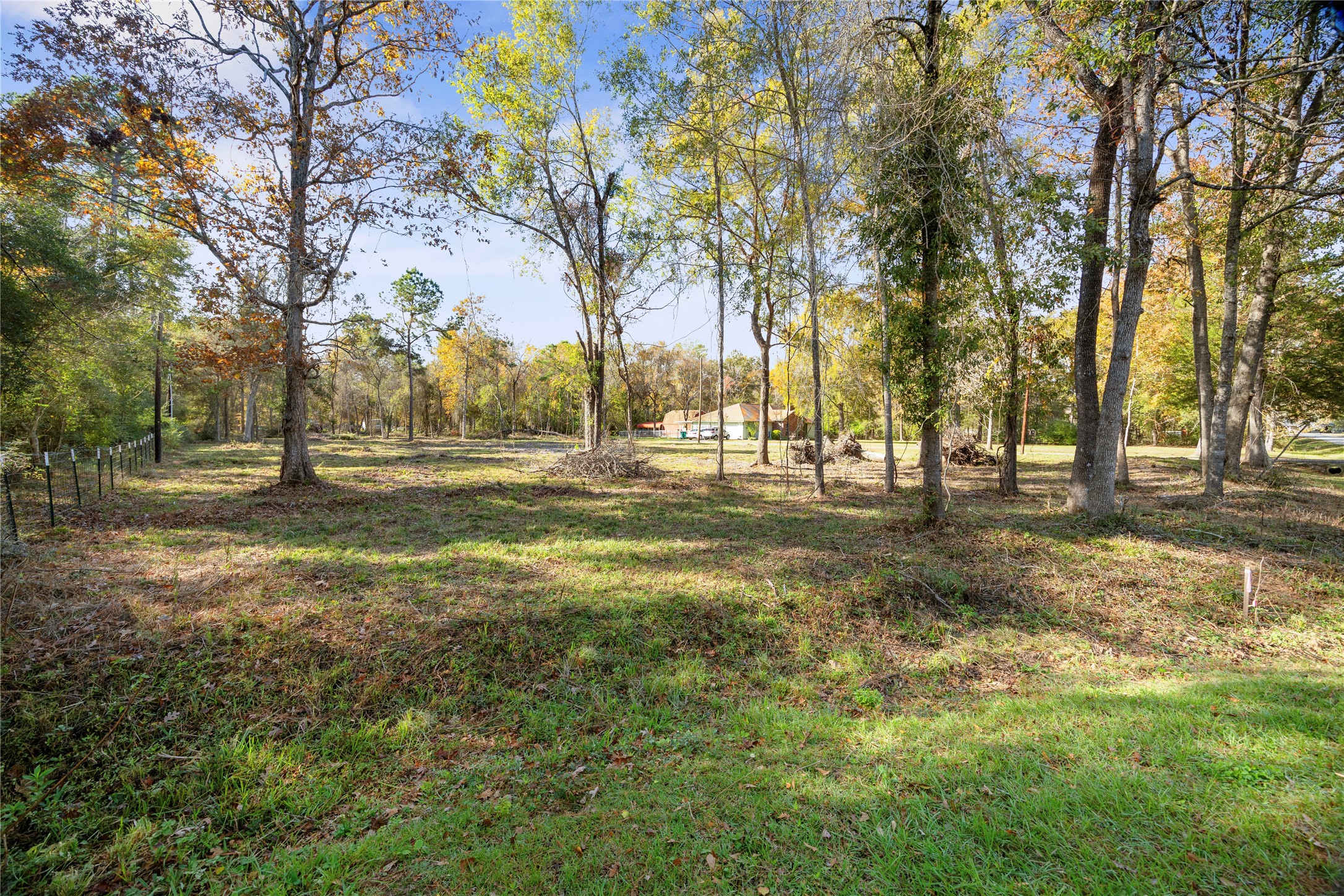 1697 O' Daniel Conroe, TX 77301 - Photo 7 of 8 a view of road with trees