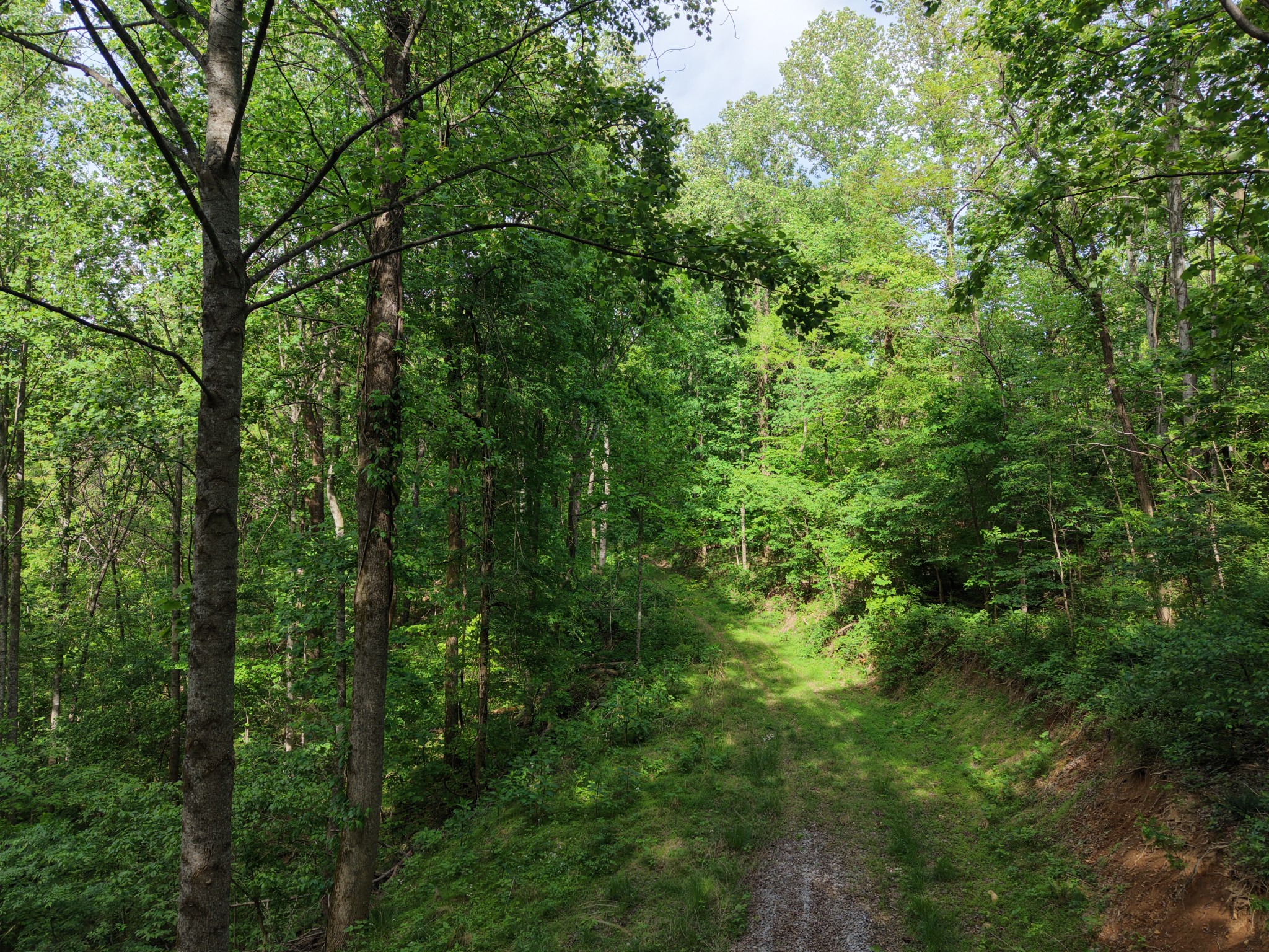 0 Bethel Road Prospect, TN 38477 - Photo 7 of 29 Gallery Image 7
