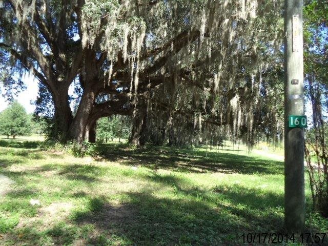 160 Hall Road Lamont, FL 32336 - Photo 1 of 4 Gallery Image 1