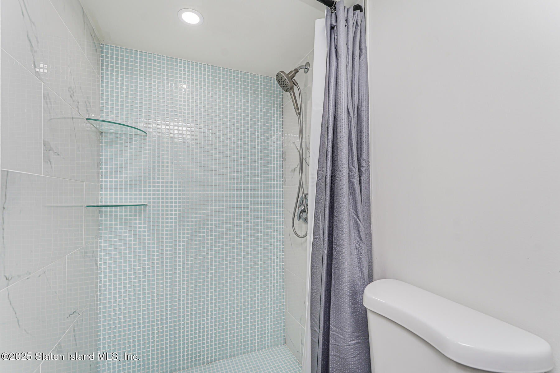 145 Clinton Place Staten Island, NY 10302 - Photo 39 of 41 a bathroom with a shower and toilet