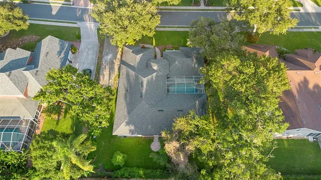 a view of a backyard with large trees