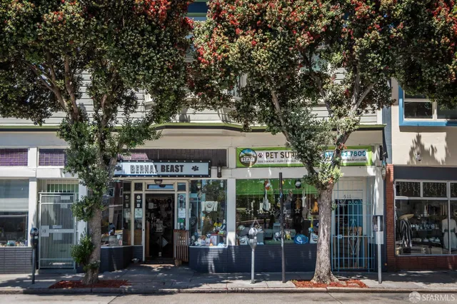 $1,149,000 | 15 Heyman Avenue, San Francisco, CA 94110