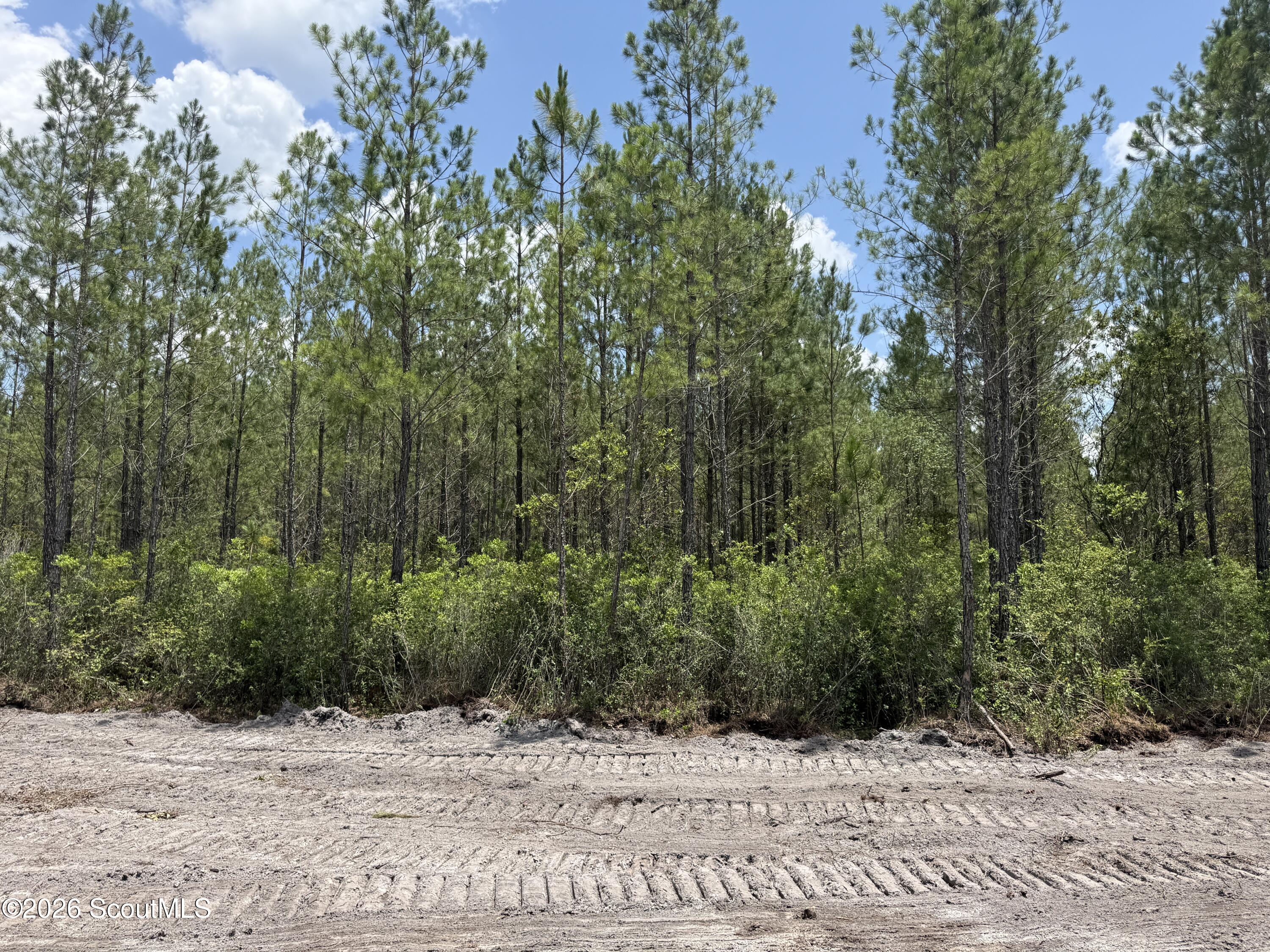 Lot 9 Corbitt Road, Unit LOT 9 Manor, GA 31550 - Photo 7 of 11 IMG_8054