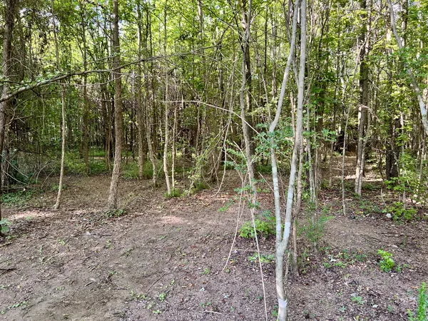 a view of a room with a trees