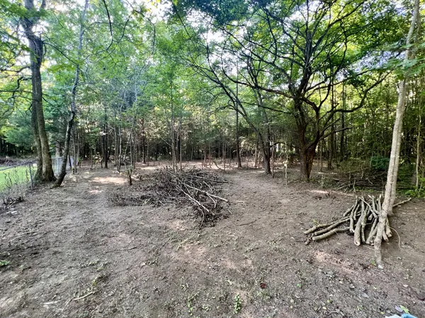 a view of outdoor space with trees all around
