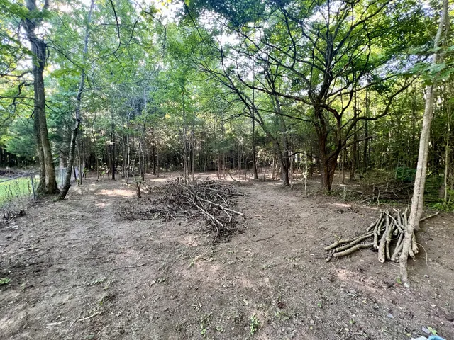 a view of outdoor space with trees all around
