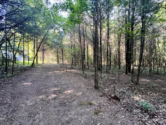 a view of outdoor space with trees