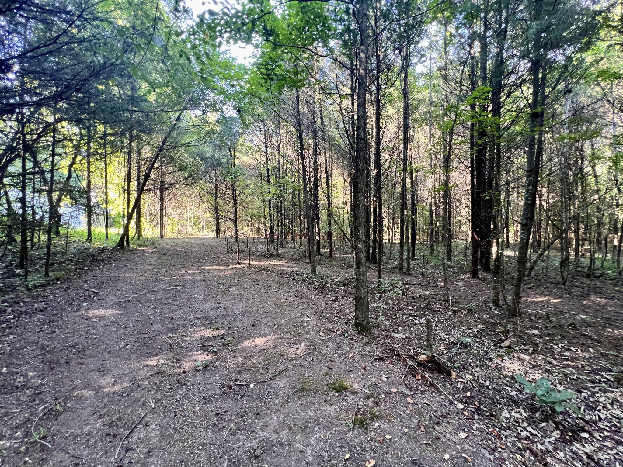 1020 Fall River Road Goodspring, TN 38460 - Photo 14 of 37 a view of outdoor space with trees