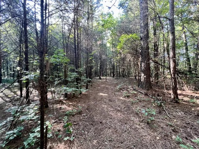 a view of outdoor space and trees